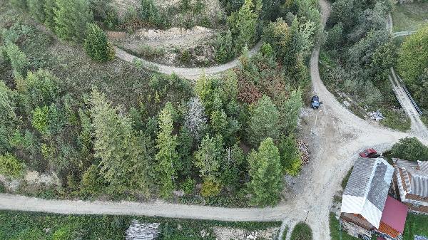  - фото нерухомості